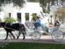 Wedding Carriage rentals, Horse drawn carriage rides, Scottsdale AZ, Phoenix