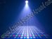 Rent dance party lighting in AZ, Dance floor lighting rentals