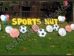sports yard greeting cards, Birthday Party sign rental phoenix, Scottsdale, Arizona, AZ, party yard sign supply rental in az