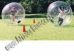 Phoenix, Human sphere rental, Hamster ball rental in Arizona