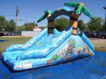 10’ Tropical Water Slide with pool (Duel lane)