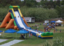40’ Rhino Slide (Duel Lane without pool)