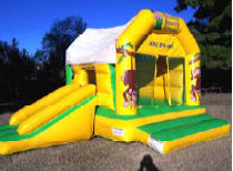 14x18 2 in 1 Jungle Bounce & Slide