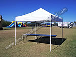 10 X 10 CANOPY