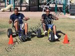 Adult Tricycles