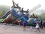 21' WILD RAPIDS WATER SLIDE