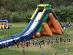 40' RHINO WATER SLIDE