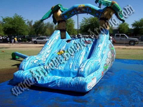 10' Tall Tropical Water slide Rental Phoenix 