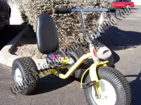 adult tricycles rental in scottsdale