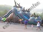 21' Tall Wild Rapids Water Slide Rental