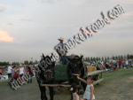 Hay Rides