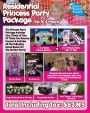 Princess Party Package under $650
