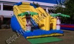 Inflatable slide rental phoenix, Scottsdale, Arizona, AZ, bouncy slide rental Arizona, tropical party rental in arizona