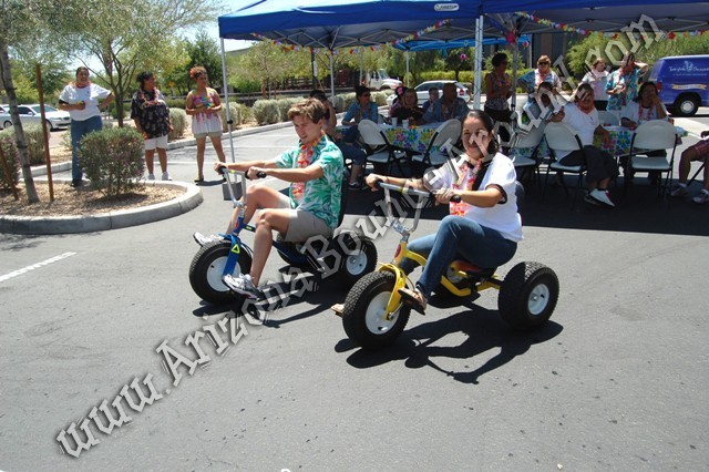 rhino tricycle for adults