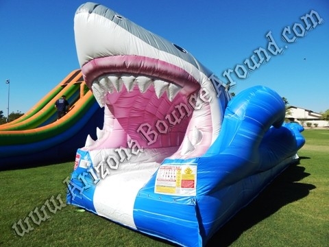 giant inflatable shark water slide